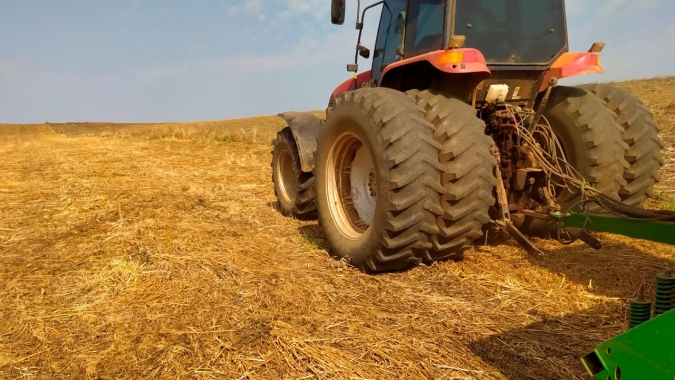 Atual campeão de produtividade do Cesb aproveitou chuva e já plantou a soja em áreas com bastante palhada