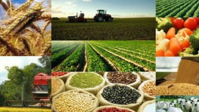 Ipea prevê crescimento maior do PIB do setor agropecuário