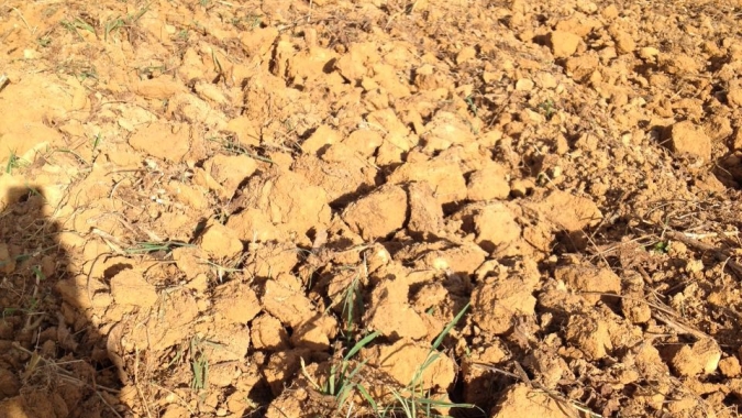 Escassez hídrica afeta estudo sobre solos no Norte do Paraná