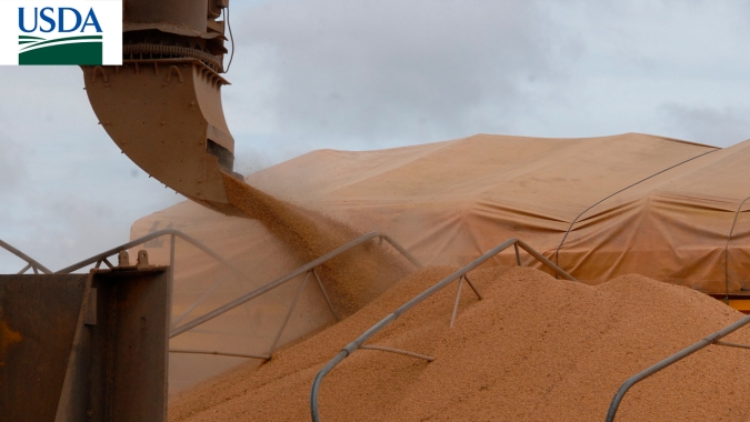 USDA traz vendas semanais de soja fraca nos EUA e reforça baixa competitividade do produto americano