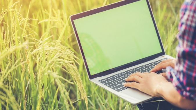 Sobe para 82,7% percentual de domicílios com internet, diz IBGE