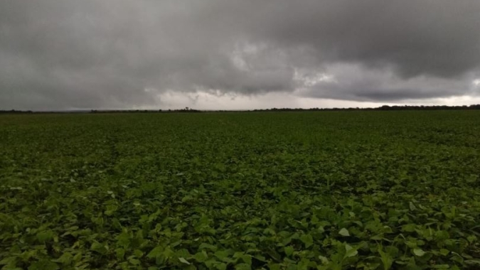 Tempo: Previsão indica mais chuvas para o Matopiba; volta a chover no RS na quarta