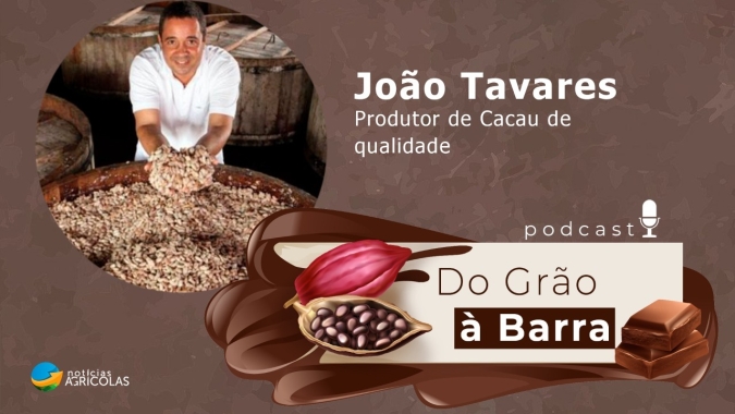 Do Grão à Barra #14 - Cacau de qualidade começa a ser debatido com mais profundidade no Brasil
