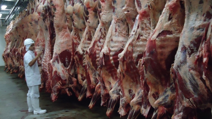 Boi: Volume de animais abatidos no estado do Mato Grosso registrou avanço de 17,93% em outubro/21