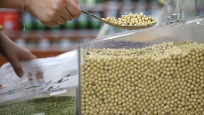 Soja intensifica baixas em Chicago nesta 3ª feira se preparando para o USDA e de olho no dólar