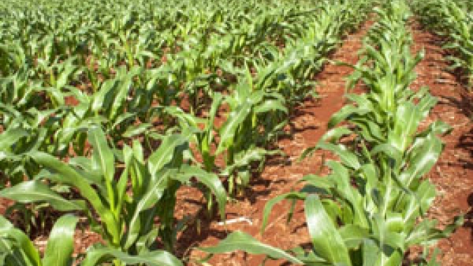 Embrapa apresenta sistema de tecnologia agropecuária para o Estado de SP