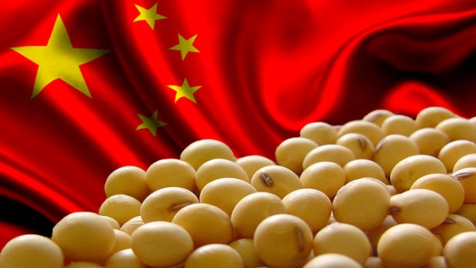 China compra mais 132 mil t de soja nos EUA nesta 5ª feira