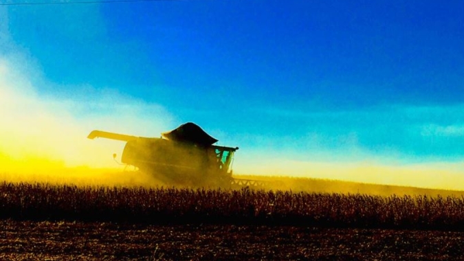 Colheita de soja atinge 16% da área plantada no País, diz AgRural