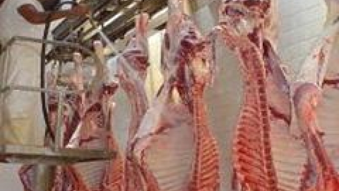 Impulsionado por exportações e mercado interno, abate de bovinos bate recorde no 2º tri, segundo IBGE