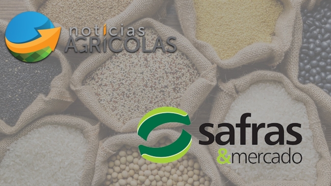 Parceria Notícias Agrícolas e Safras & Mercado agrega mais informação às tomadas de decisões do produtor rural