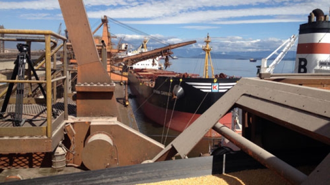 Aumentam as exportações pelo Corredor Leste do Porto de Paranaguá