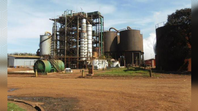 Indicador semanal do etanol hidratado cai 2,10% nas usinas de SP e anidro 3,54%, aponta Cepea