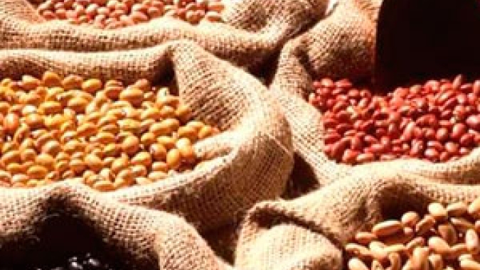 Ibrafe: A vantagem de plantar Feijões diversificados