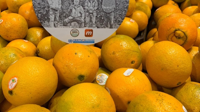 Fundecitrus divulgará estimativa da safra de laranja 2023/24 em 10 de maio