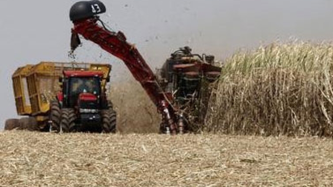 Corteva Agriscience lança portfólio de biológicos para cana-de-açúcar