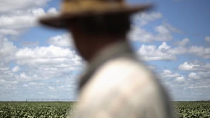 Valor Bruto da Produção agropecuária mineira indica recorde de R$ 137,7 bilhões em 2022