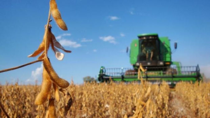 Ainda irregulares, chuvas podem comprometer colheita da soja em Mato Grosso