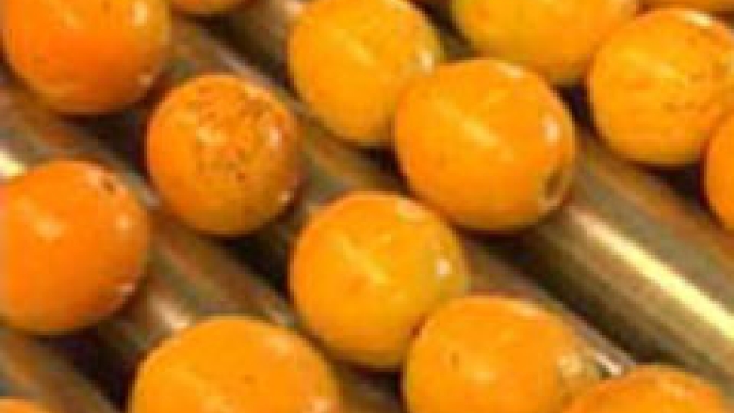 Citros/Cepea: Abril se encerra com mercado lento