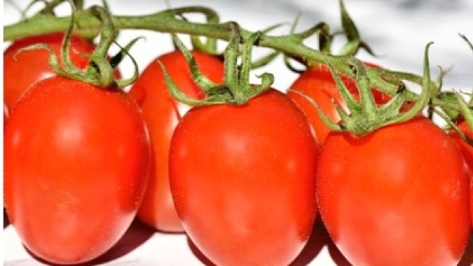 Tomate/Cepea: Frente fria reduz ainda mais a oferta