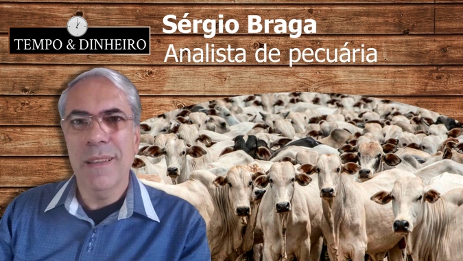 Sérgio Braga: Boi gordo a R$ 250@ em SP tem oferta restrita e indústria compradora.