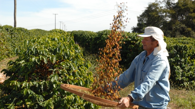 Conab lança plataforma para mapear áreas de produção de café do Brasil