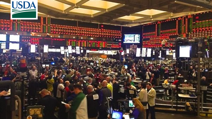 Mercado de grãos entra em colapso em Chicago após números surpreendentes do USDA