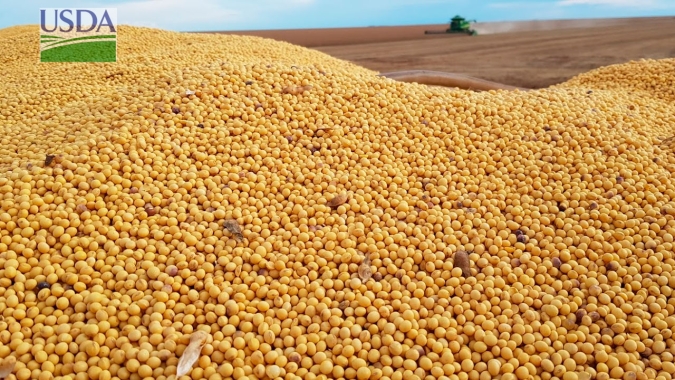 USDA adia relatório semanal de exportação dos EUA