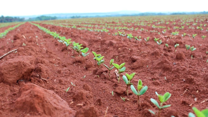 Áreas irrigadas já plantaram a soja em Lucas do Rio Verde/MT e restante das lavouras ainda aguardam chuvas