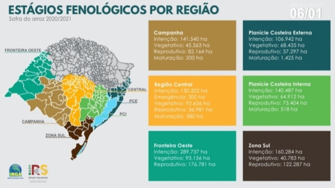 Nates monitoram estágios da cultura do arroz