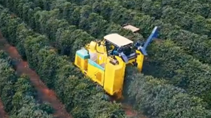 Produção dos Cafés do Brasil ocupa área de 1,82 milhão de hectares dos quais 1,45 milhão são de café arábica e 375,99 mil de conilon