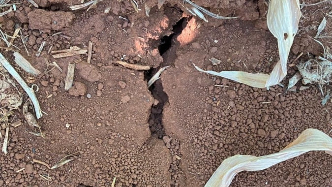 Produtores relatam situação de seca pior que a registrada por monitoramento de março