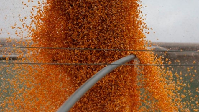 Colômbia suspende tarifa de importação de milho, soja e sorgo até 30 de junho