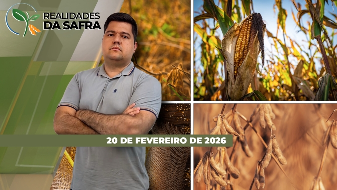 Colheita da soja avança rápido, mas com perdas de produtividade em Maracaju/MS