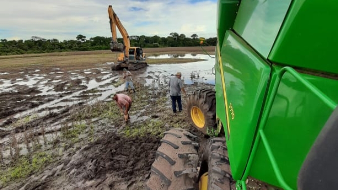 Problema da chuva foi a intensidade com que chegou no MT e Matopiba, avalia Paulo Sentelhas