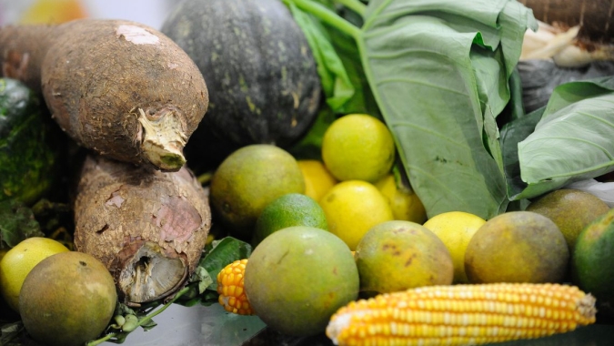 Preços de alimentos têm leve recuo após 9 meses de ganhos e alta do IPCA-15 desacelera em junho