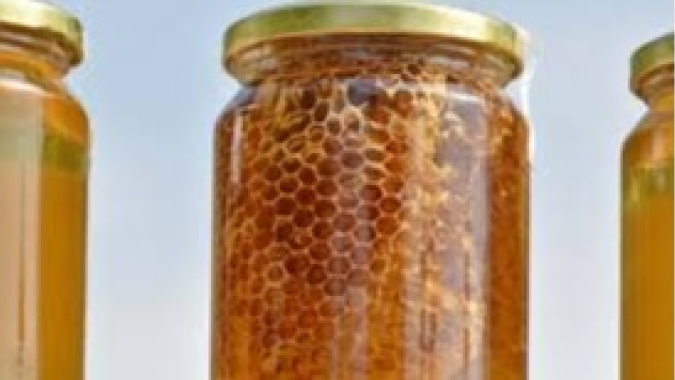 Produtos brasileiros são apresentados na principal feira de orgânicos dos EUA