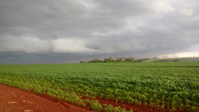 Inmet: Chuvas irregulares causam impactos em áreas agrícolas no Paraná