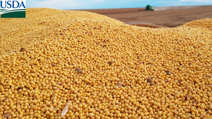 USDA: Vendas semanais de soja da safra velha dos EUA ficam acima das expectativas