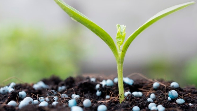 Setor de hortaliças debate Plano Nacional de Fertilizantes