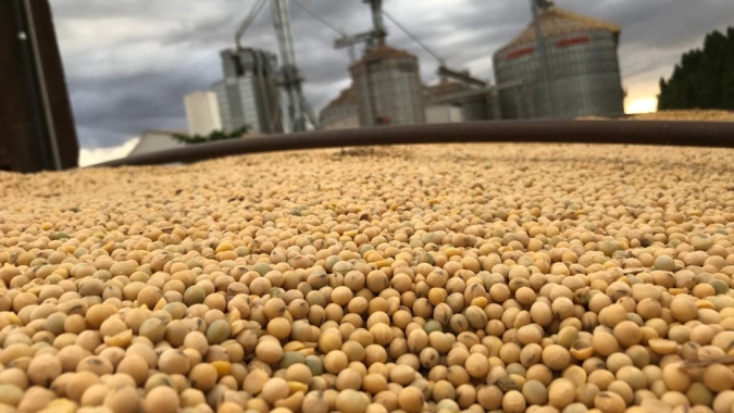 Confaz prorroga convênios que reduzem impostos agropecuários; eleva tributo de fertilizante