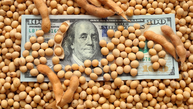 Soja cede em Chicago com pressão do financeiro, mas dólar puxa preços no Brasil nesta 2ª