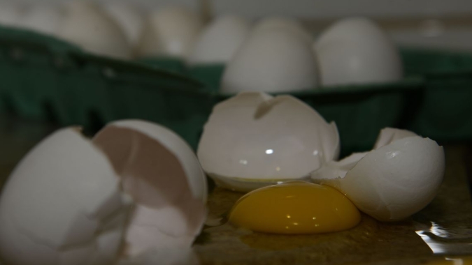 Preços dos ovos recuam 7,3% na semana puxados pelas carnes, afirma Cepea