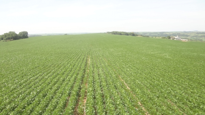 Secretaria de Agricultura de SP apresenta novas soluções para o produtor rural regularizar sua propriedade