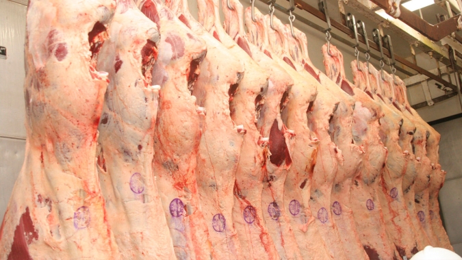 Proteína animal: Tyson Foods quer coalizão de sustentabilidade para cadeia global