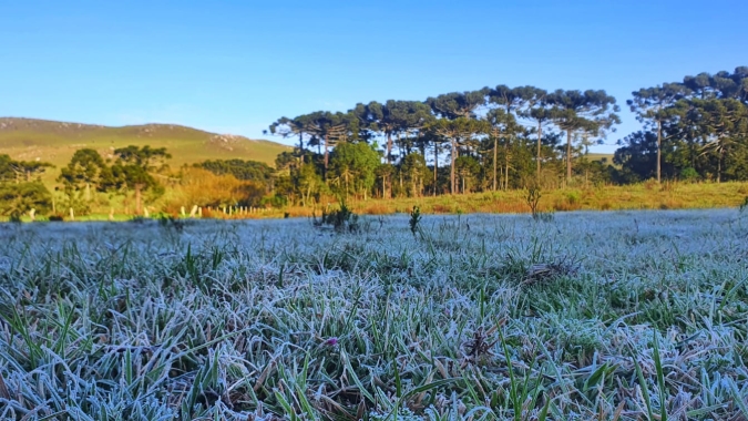 Sul tem temperaturas mais baixas do ano e geadas não estão descartadas na próxima madrugada