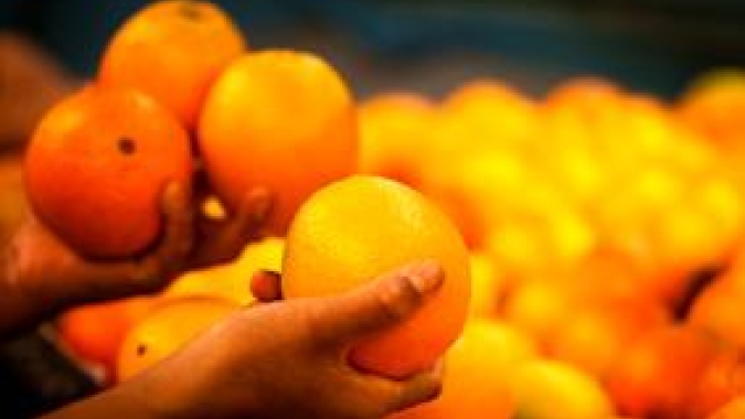 Impactadas pela redução na oferta de fruta, exportações de suco de laranja registram queda no primeiro semestre da safra 2023/2024