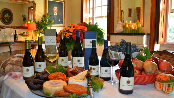 Propostas de alteração à Lei do Vinho serão encaminhadas à Câmara Nacional