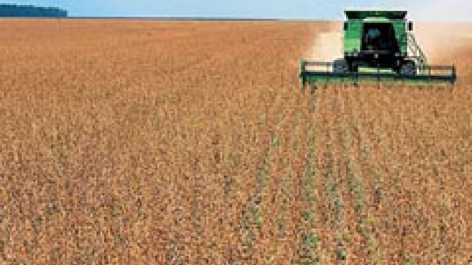 Programa Global de Agricultura de Baixo Carbono da BASF indicam caminhos para reduzir emissões