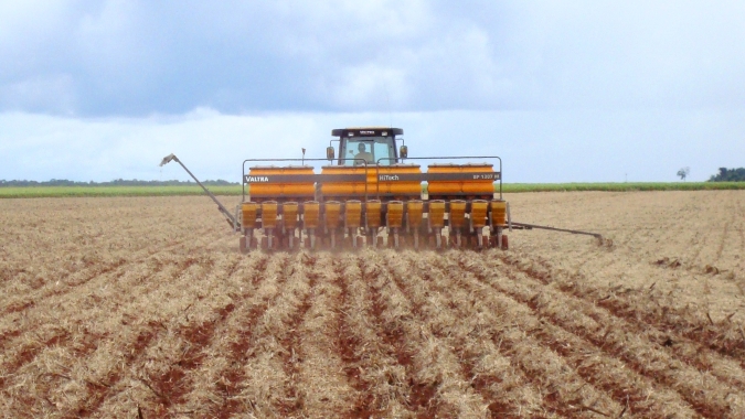 Produtores de soja do Brasil vão plantar área 1,9% maior em 2024/25, diz Safras