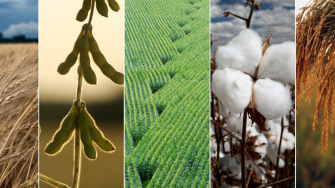 Preços de commodities devem permanecer fracos com menor atividade na China